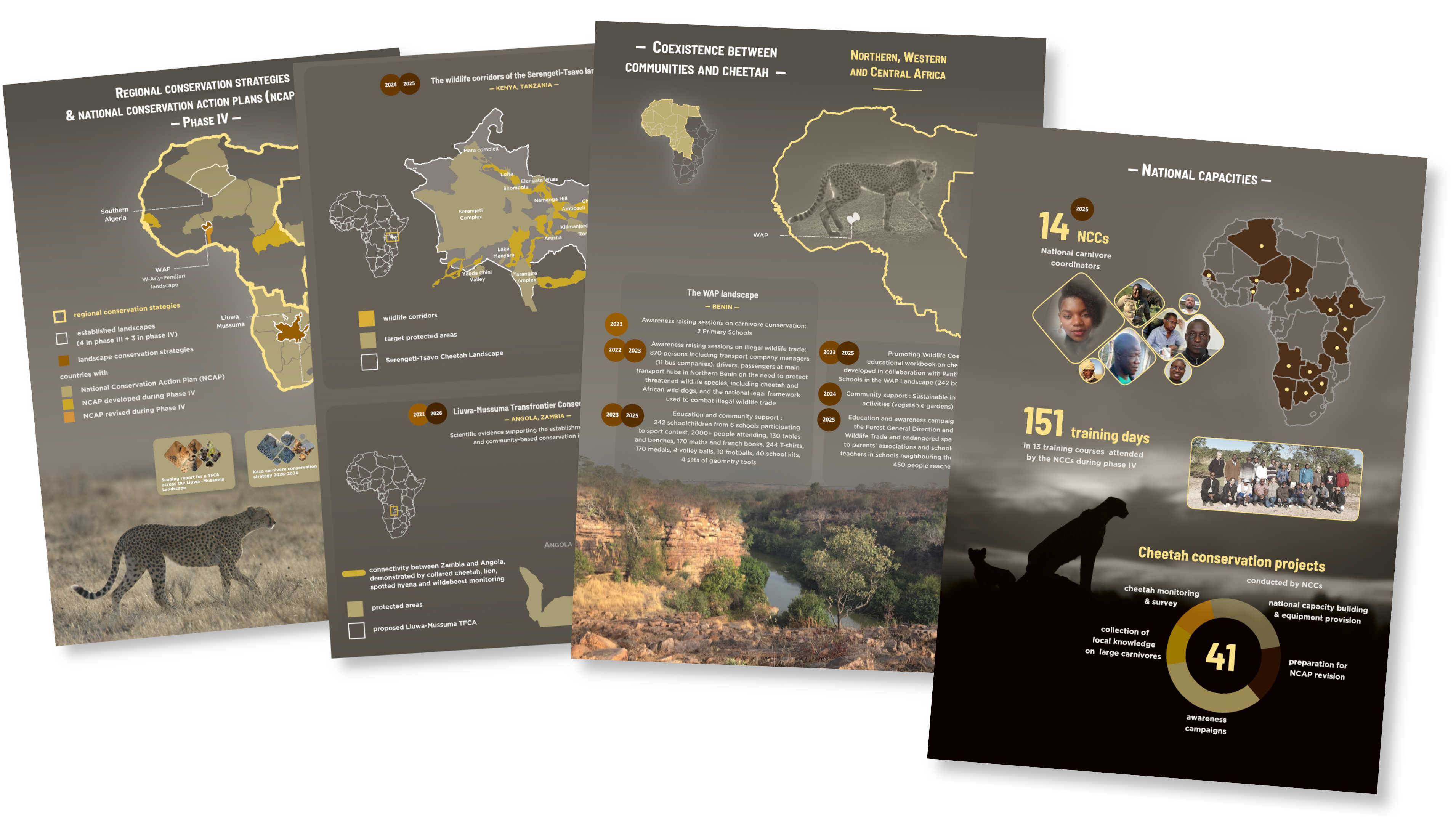 infographics RWCP phase 4