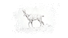 chamois pointillisme